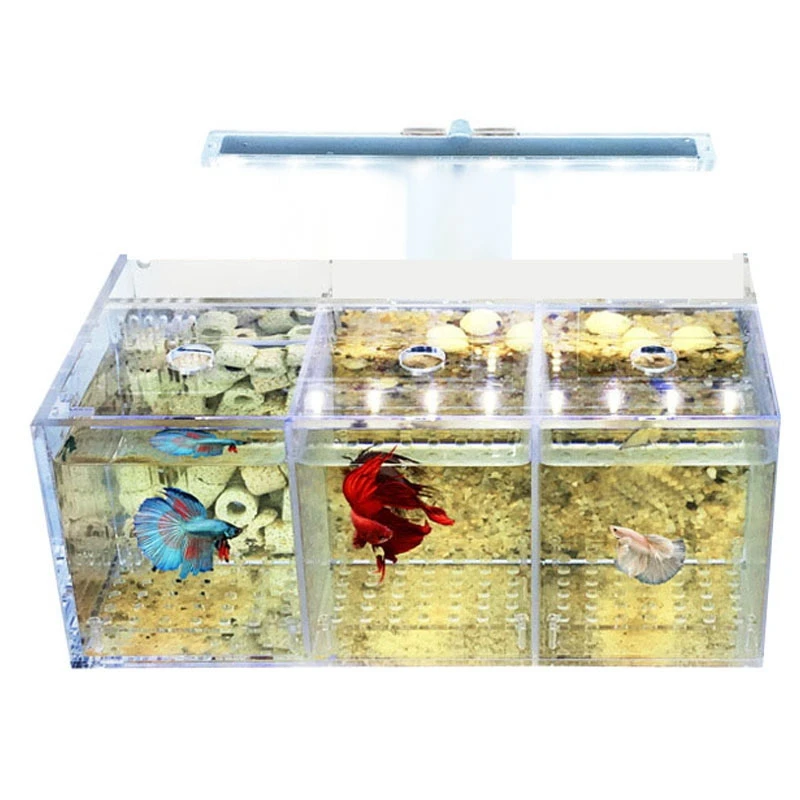 Аквариумный светодиодный акриловый аквариум Betta Fish Tank Set Mini Desktop Light Фильтры для водяного насоса