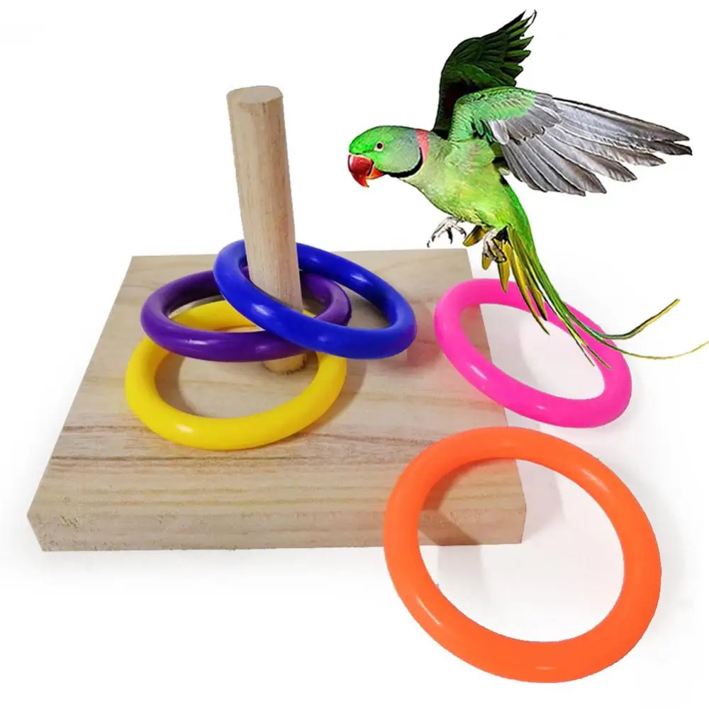 Обучающая домашняя птица Попугай Деревянная доска Пластиковое кольцо Обучающая петля Жевательная игрушка