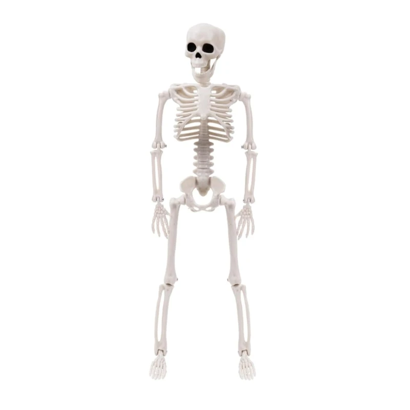 Скелет на Хэллоуин в натуральную величину, украшение для Хэллоуина, подвесной скелет в натуральную величину с подвижными суставами для реквизита на Хэллоуин